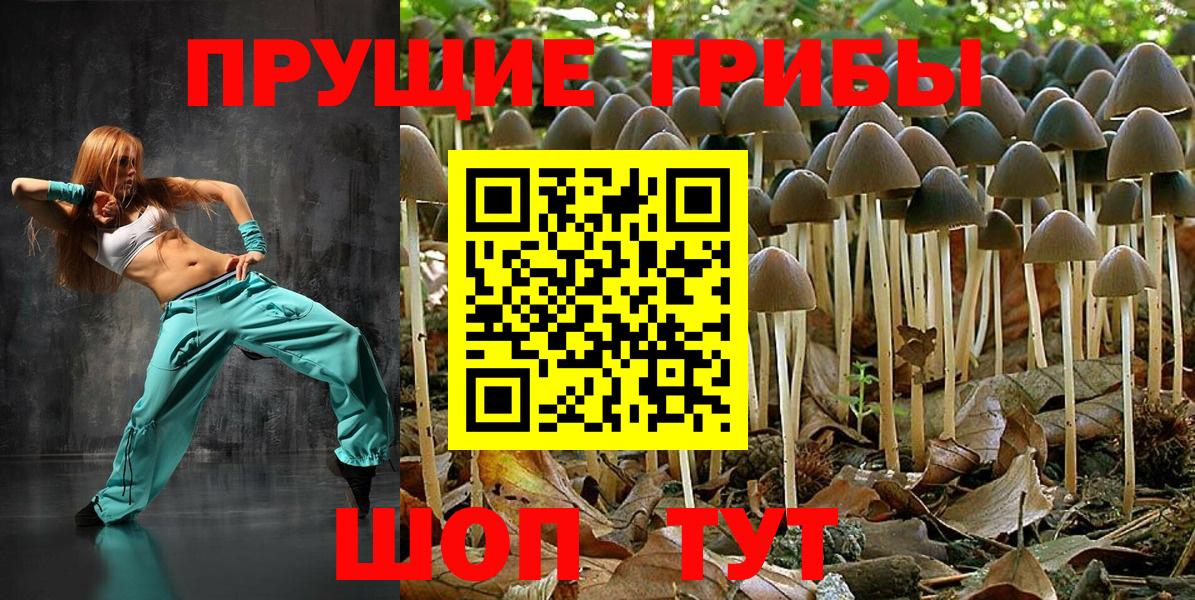 Галлюциногенные грибы GOLDEN TEACHER Муром