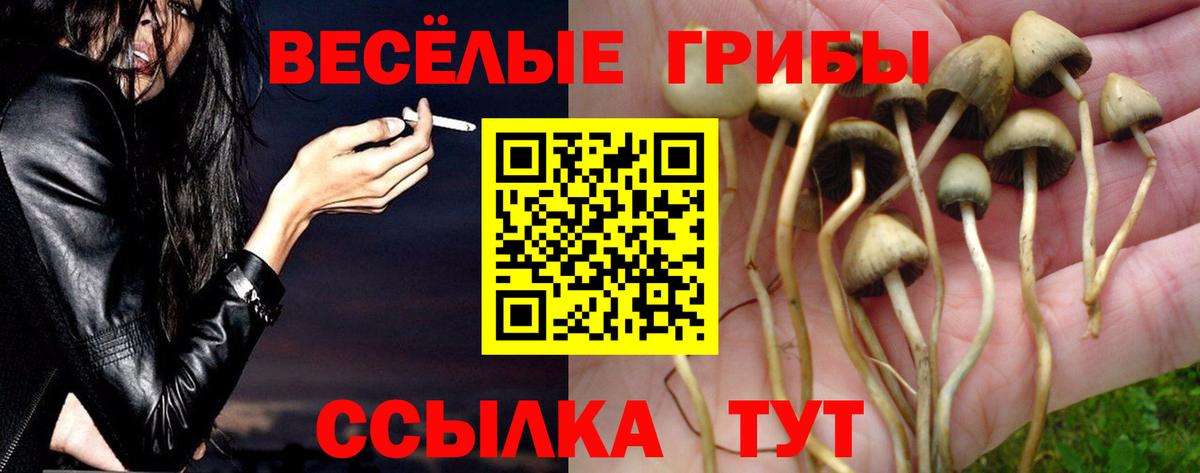 где найти наркотики  Вход с VPN  Муром  Псилоцибиновые грибы ЛСД 